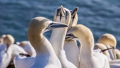 慈溪最新公积金卡提取现金方法app方法分析(最方便真实的慈溪公积金卡怎样从手机里取出来?方法)