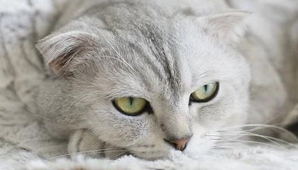 慈溪最新公积金卡提取现金操作及规定方法分析(最方便真实的慈溪公积金卡提取现金操作及规定是什么方法)