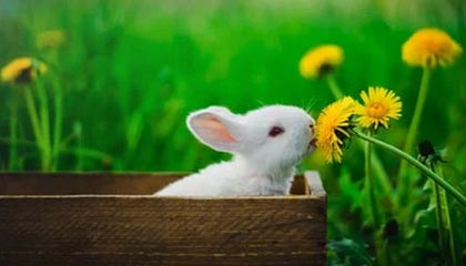 慈溪最新公积金提取中介联系微信方法分析(最方便真实的慈溪提取公积金的中介是如何操作的方法)